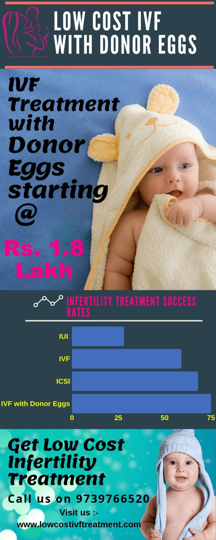 Egg Donor IVF Cost in Bangalore India